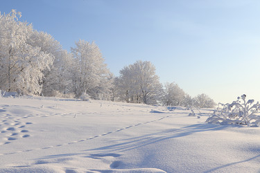 Similar image 22350721