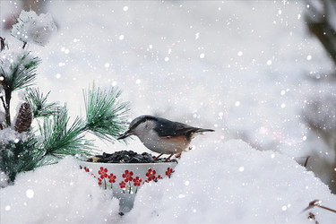 Similar image 22350730