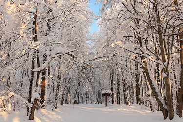 Similar image 22350733