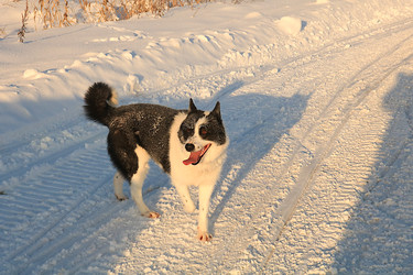 Similar image 22350735