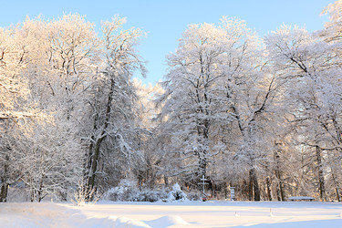 Similar image 22350736