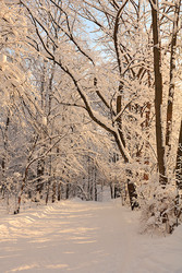 Similar image 22350741