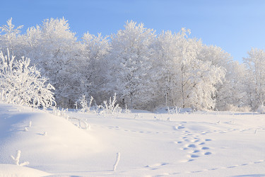 Similar image 22350742