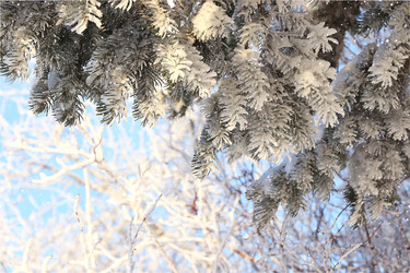 Similar image 22350748