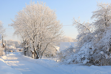 Similar image 22348409