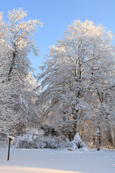 Similar image 22349892