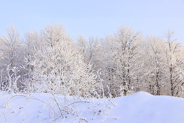 Similar image 22349893