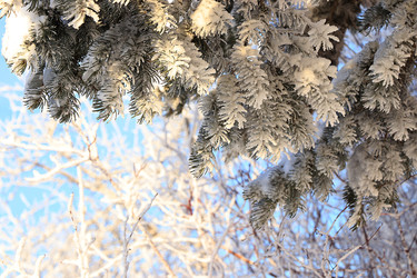 Similar image 22349896