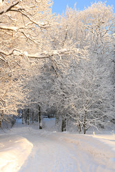 Similar image 22349900