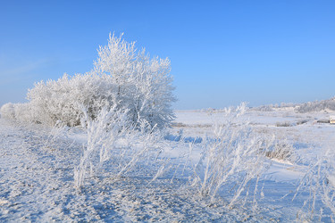 Similar image 22349901