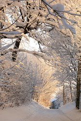 Similar image 22349902