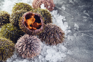 Similar image 22351386