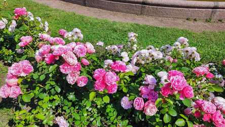 Similar image 22354903