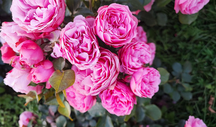 Similar image 22354905