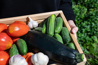 Similar image 22354914