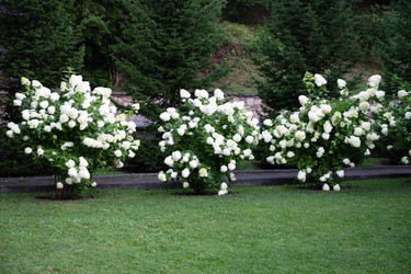 Similar image 22354915