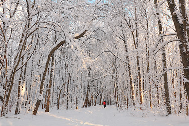 Similar image 22350494