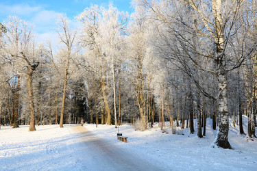 Similar image 22350495