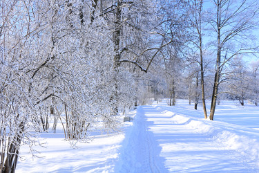 Similar image 22350497