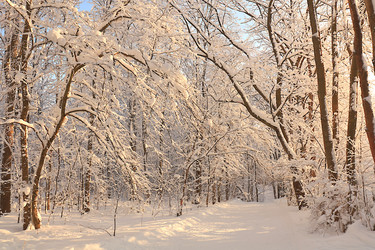 Similar image 22350498