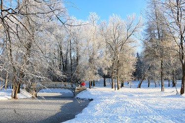 Similar image 22350500