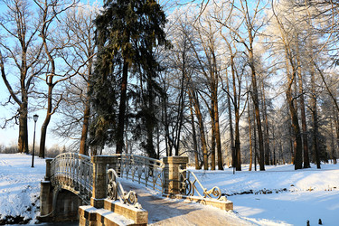 Similar image 22350501