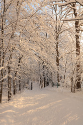 Similar image 22350502