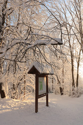 Similar image 22350503