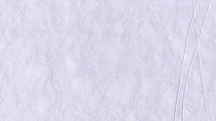 Similar image 22369960