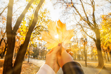 Similar image 22360345