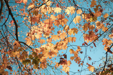 Similar image 22364104