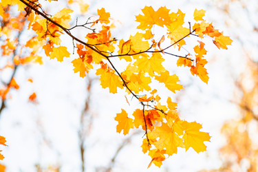 Similar image 22364109