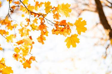 Similar image 22364110