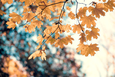 Similar image 22364118