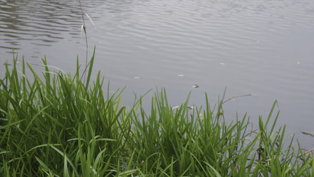 Similar image 22370887