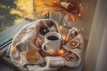 Similar image 22348516