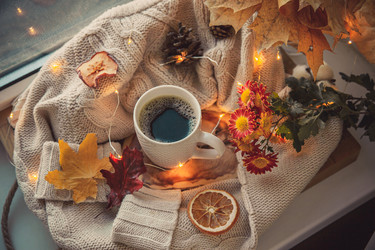 Similar image 22348523