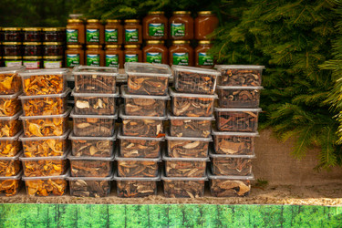 Similar image 22348699