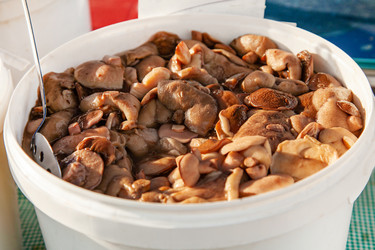 Similar image 22348565