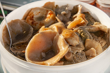 Similar image 22348577