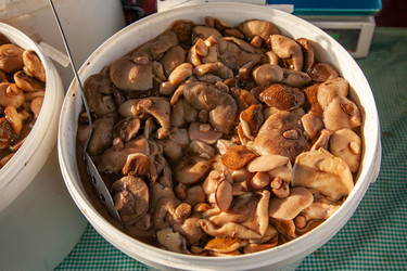 Similar image 22348583