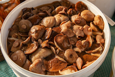 Similar image 22348586