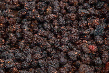 Similar image 22351452