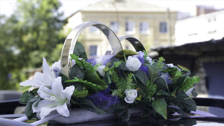 Similar image 22368420