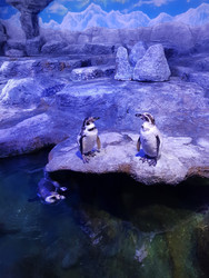 Similar image 22360338