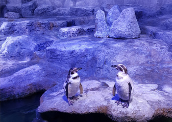 Similar image 22360339