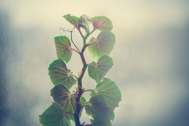 Similar image 22360341