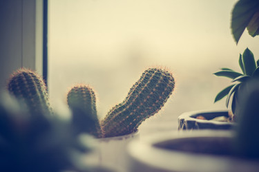 Similar image 22360342