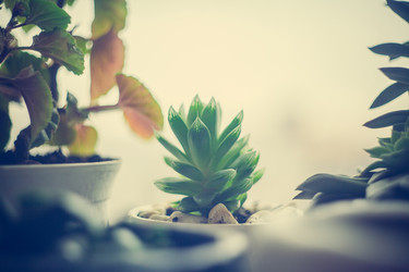 Similar image 22360343