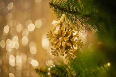 Similar image 22360352